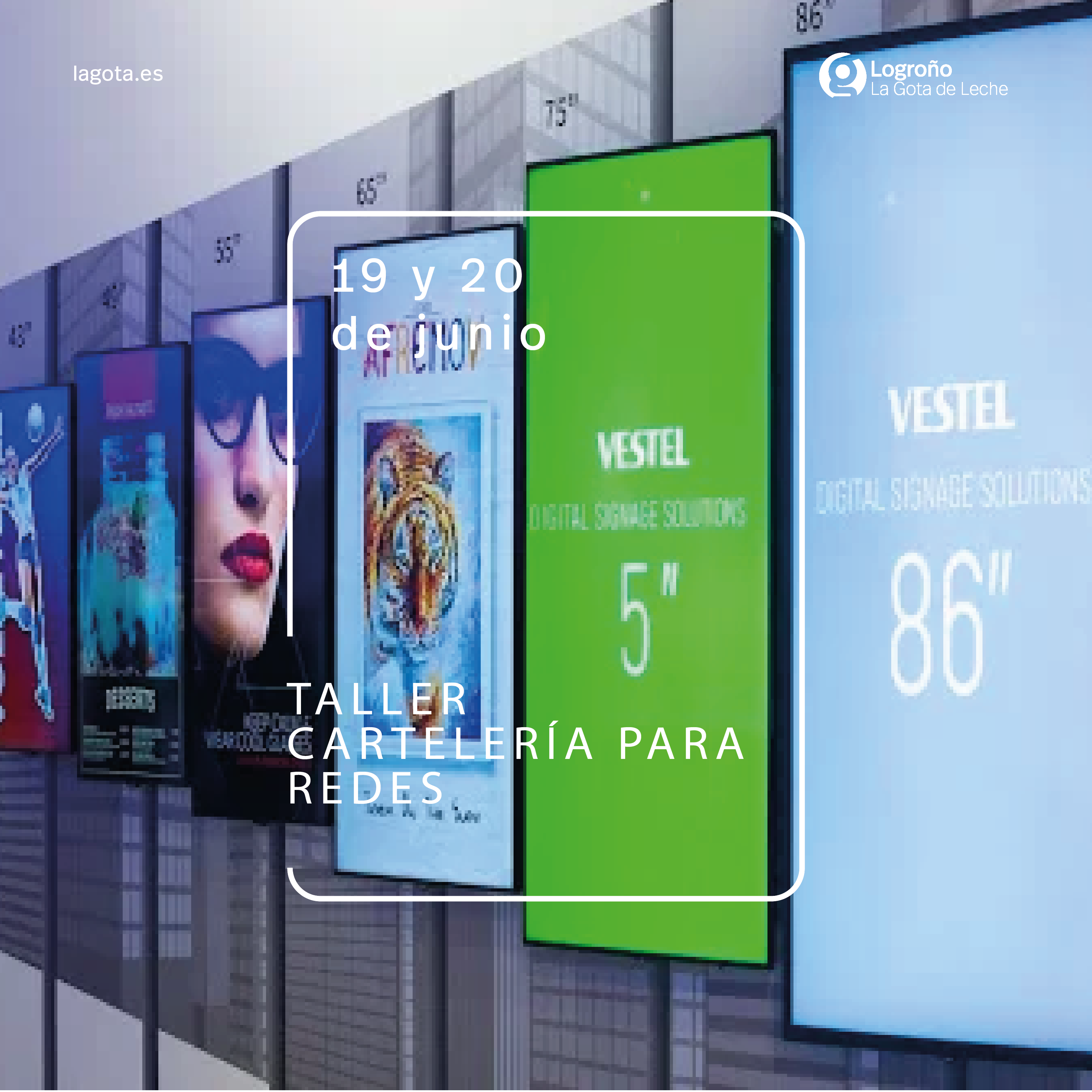 Taller de Cartelería para Redes
