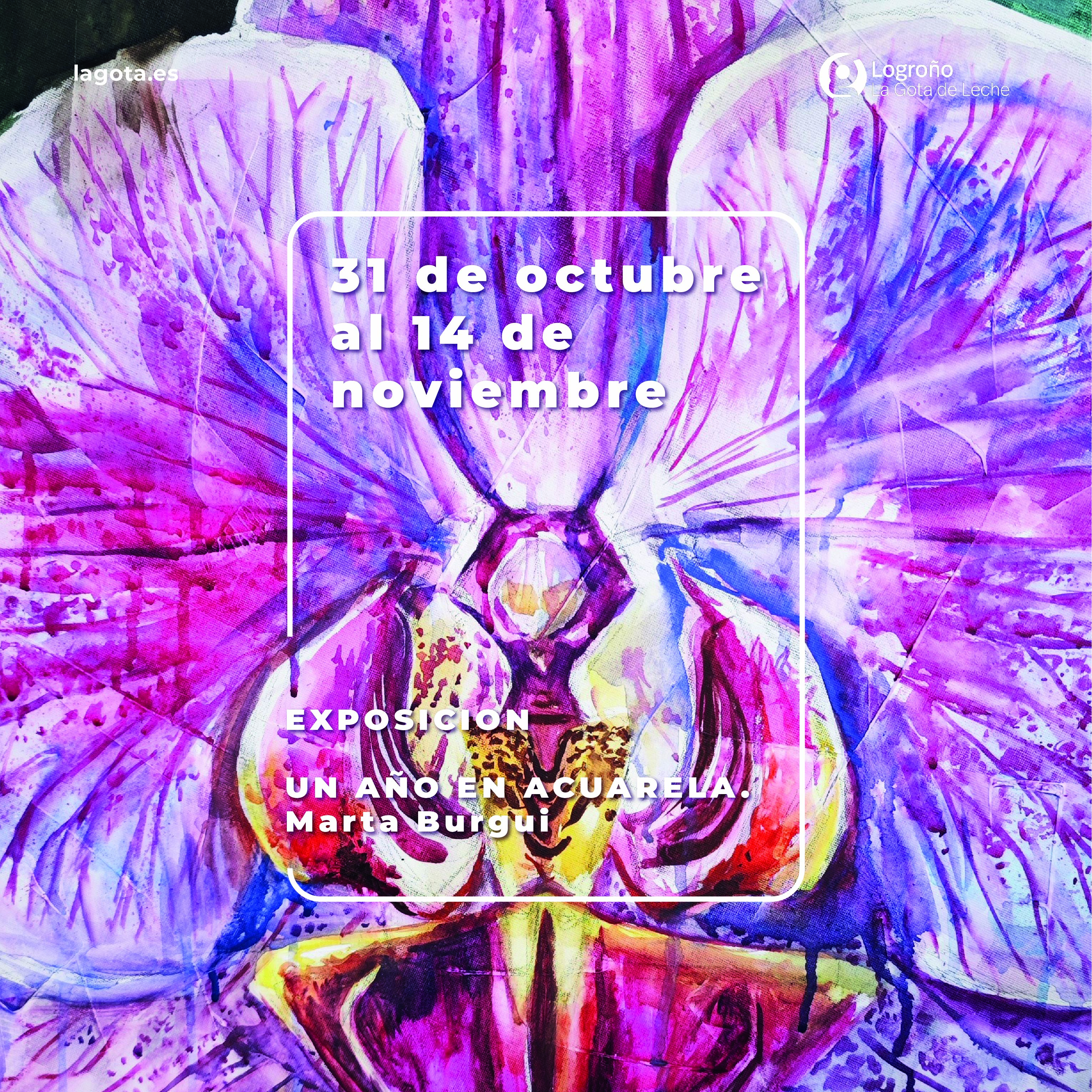 Exposición: Un Año en Acuarela