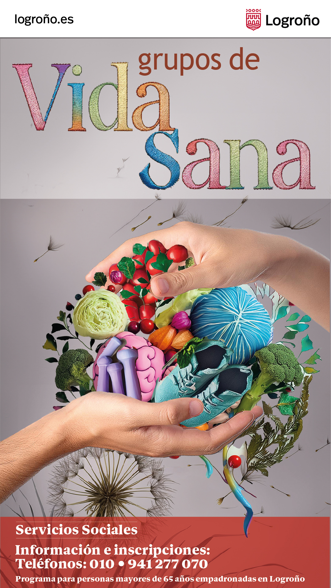 Imagen Vida Sana - Finalidades del proyecto